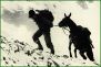 Alpini nella Grande Guerra